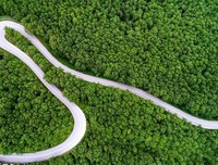 《希腊高速公路》好看吗？经典影评锦集