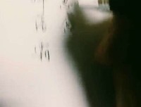 《边境布鲁斯》影评摘抄