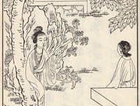 《红楼梦》的观后感大全