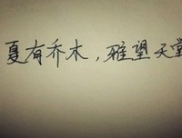关于辛夷坞的优美句子