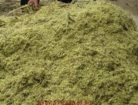 心水象草亦香句子