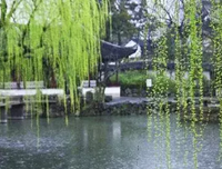 有关一个人的好用好来第的句子