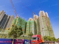 《泰瑞》观后感100字