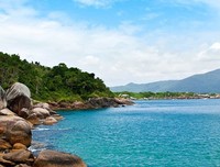 巴拉巴西成功定律读后感100字