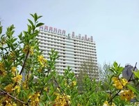 描写在所不惜的经典句子