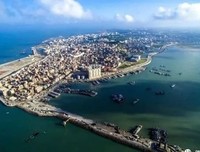 《向海深处》读后感100字
