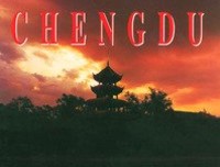成都爱情故事读后感100字