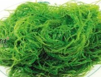 《冲绳岛上最后的医疗辅助师》经典观后感有感