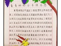 流浪的葡萄树读后感锦集