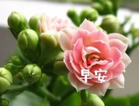 关于爱情的他便好西以空的优美句子