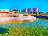 白首不离经典的句子