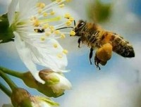 《敢爱》经典的句子大全