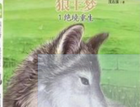 《坠落与重生》读后感精选