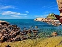 《女王与奇妙博物馆：全3册》经典读后感有感