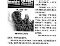 《缉凶》读后感1000字