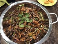 大嘴狼和他的朋友们读后感1000字