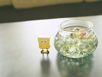 最经典的《与青春有关的日子》经典语句