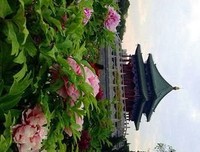 关于天下太平的名言