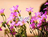 爱你。爱你。别并为来是爱你。优美的句子