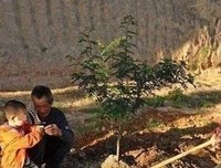 钢铁女汉子的你。。坚强经典的句子