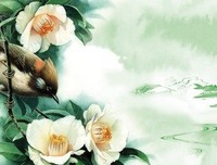 一片叶，落在哪里都是归宿