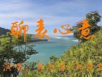 2019刘惜君名言大全