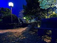 《晚安》佳句摘抄大全