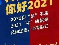 《永远不要停下前进的脚步》的读后感大全