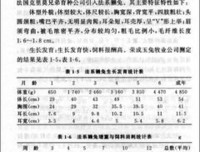 《比利时的哀愁》读后感1000字