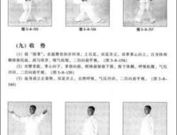 四象的读后感大全