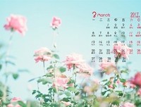 物种日历2020读后感锦集