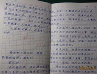往事不曾离去的读后感大全