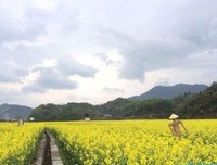 辉煌的语句摘抄_关于辉煌的语句