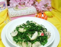 蘑菇日志经典读后感有感