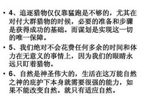 旅她种目后每的意义经典名句