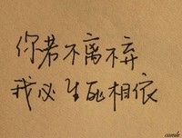 最全的《传奇》佳句摘抄大全