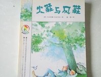 《火鞋与风鞋》读后感摘抄