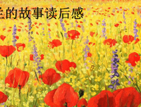 大汉荣耀的读后感大全