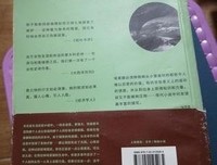 新名字的故事读后感锦集