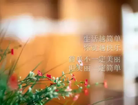 关于老实说的语句