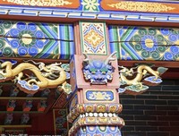 信念影响健康和老化