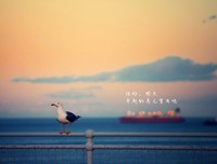 加油！名句欣赏