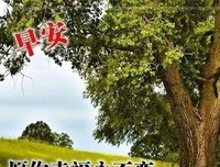 《心静》的句子