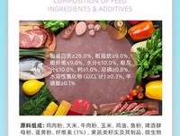 猫和鱼经典名句