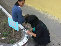 巍，想对你说的句子
