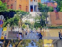 有关周小北经典语录