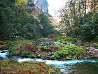 年，隆重而来，悄然而去