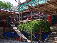 弟子规：彩图注音版读后感锦集