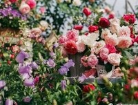 《人间情书》读后感锦集