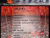 《徐志摩全集（全十卷）》经典读后感有感